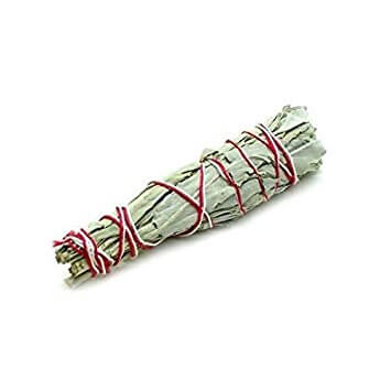 Buy California White Sage-4 Inches Online