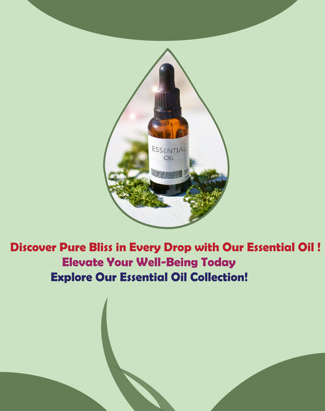 Best Store to Buy Crystal & Candle in Los Angeles, CA Incense Pro