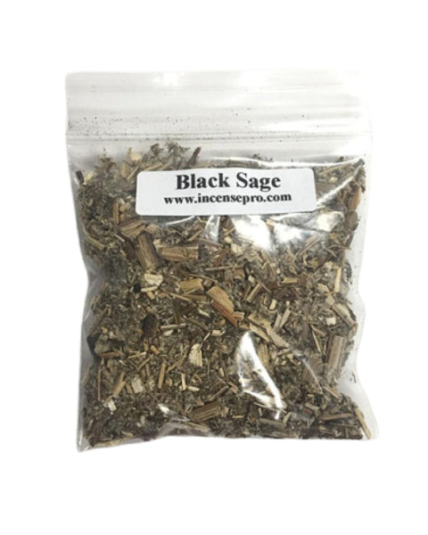 Herb - Black Sage (Mugwort)