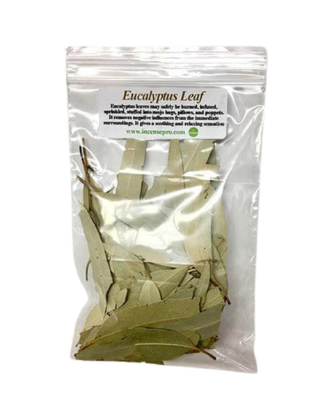 Herb - Eucalyptus Leaf