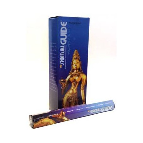 Buy Hem Spiritual Guide Incense Hexa